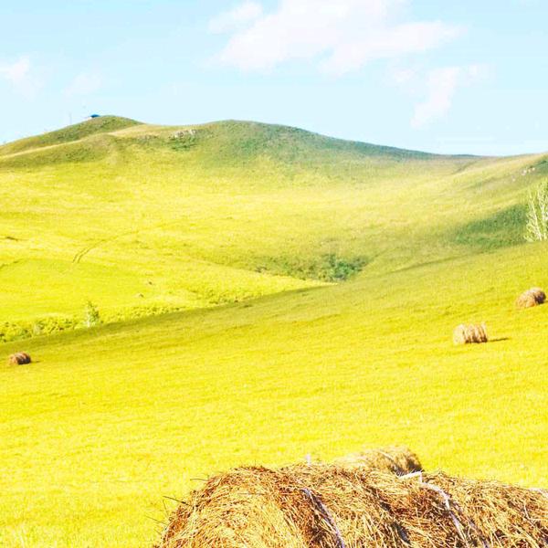 一步一步攀登高峰