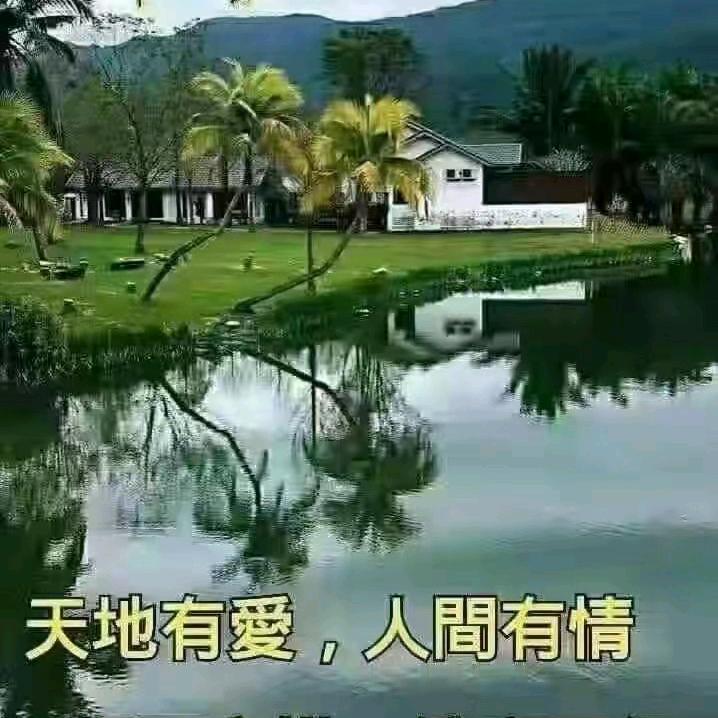 远在它乡