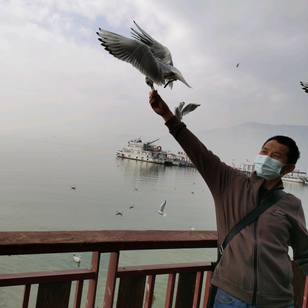 (✪▽✪)共你余生