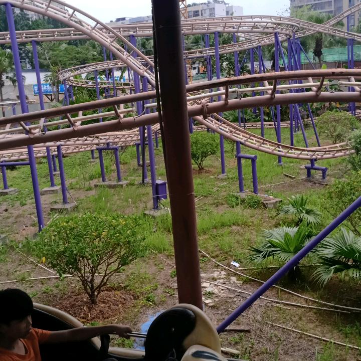 如你所愿
