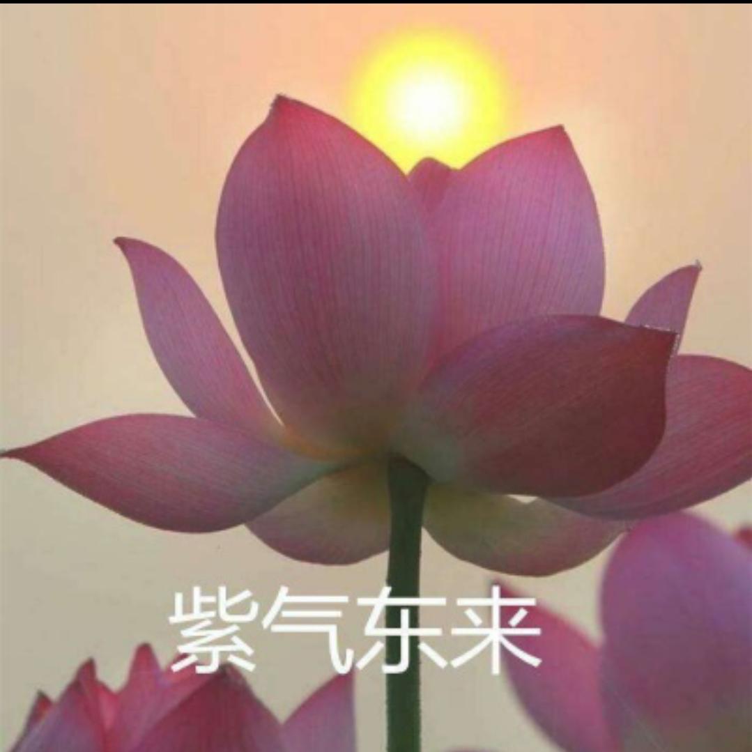 a天赋吉运
