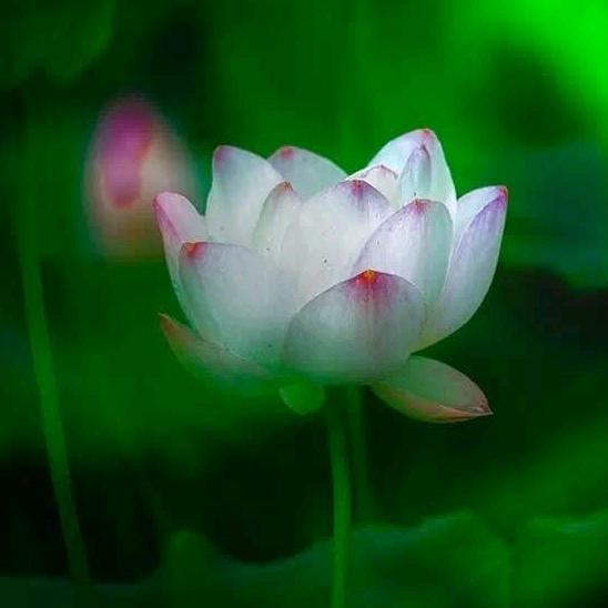 💖云水随缘💖5208