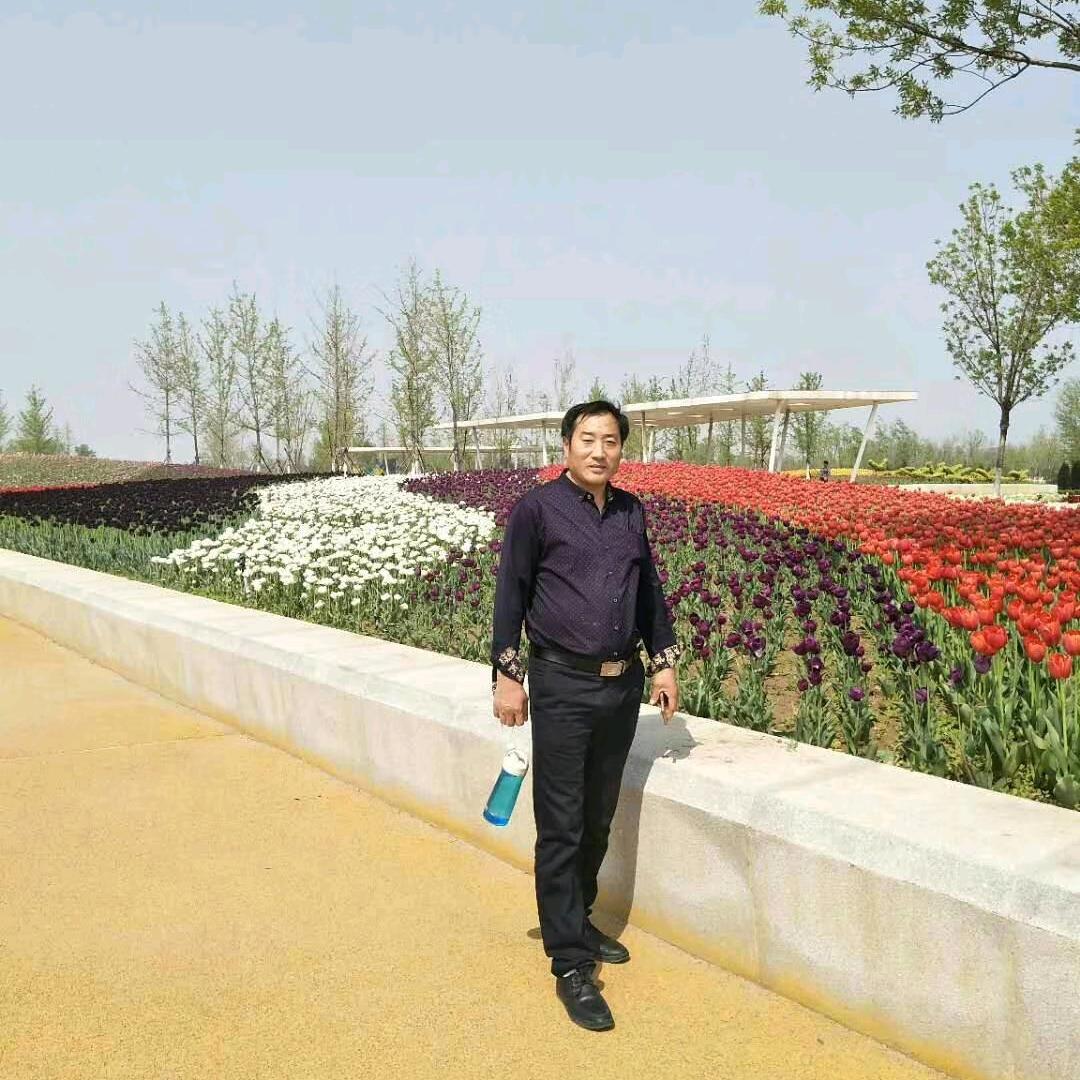 专业批墙