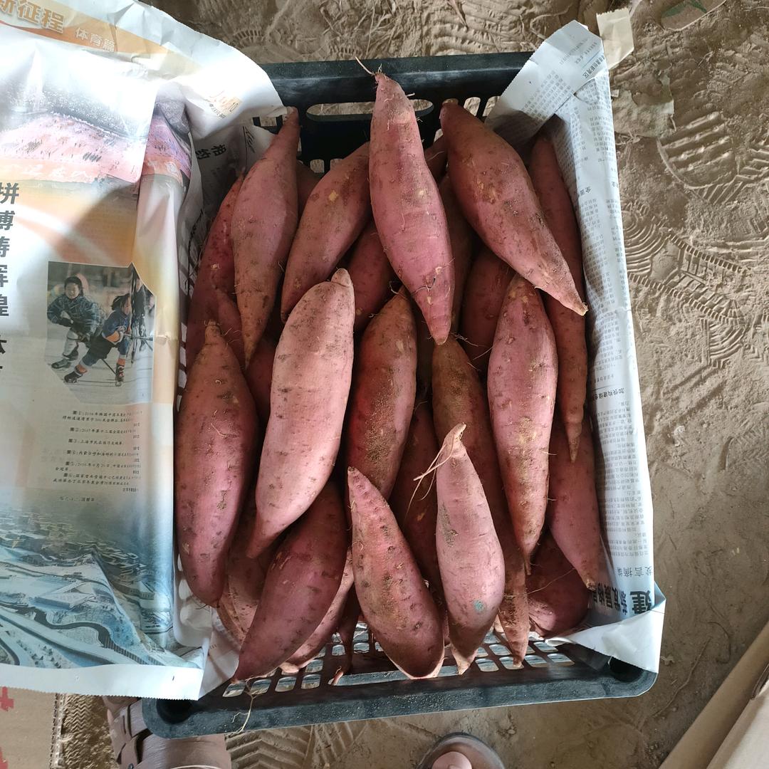大朋哥