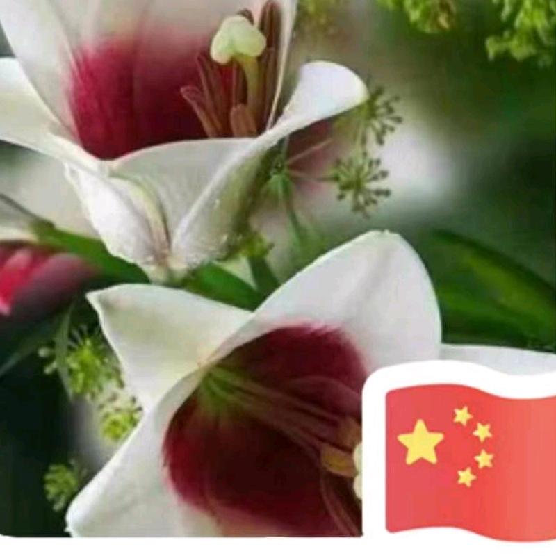 过往云烟_2473323