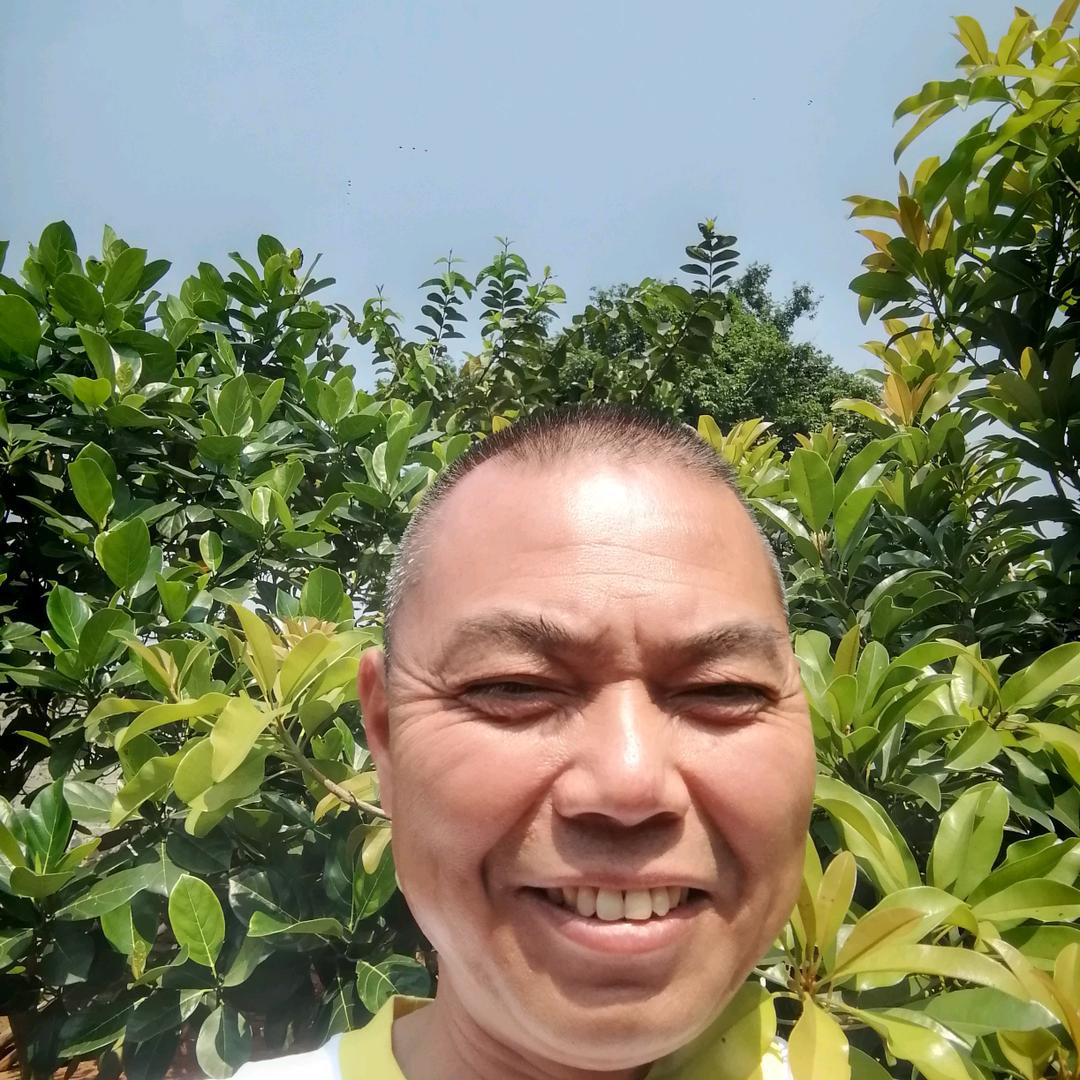 看看