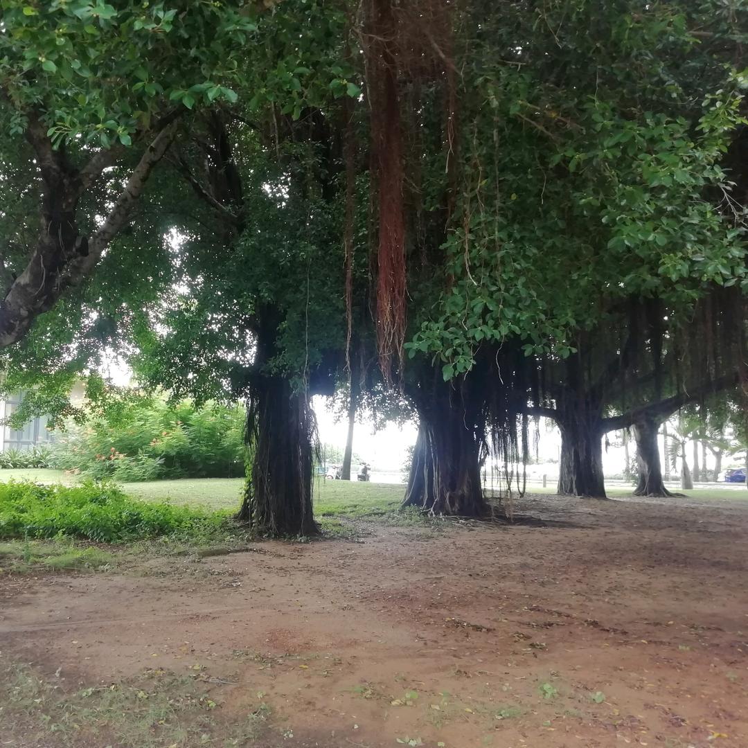 璞锐建筑