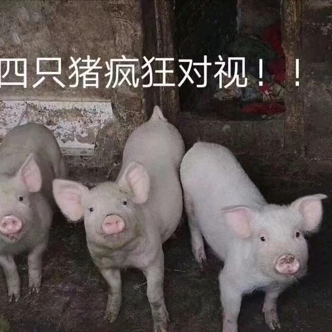 多久是旧