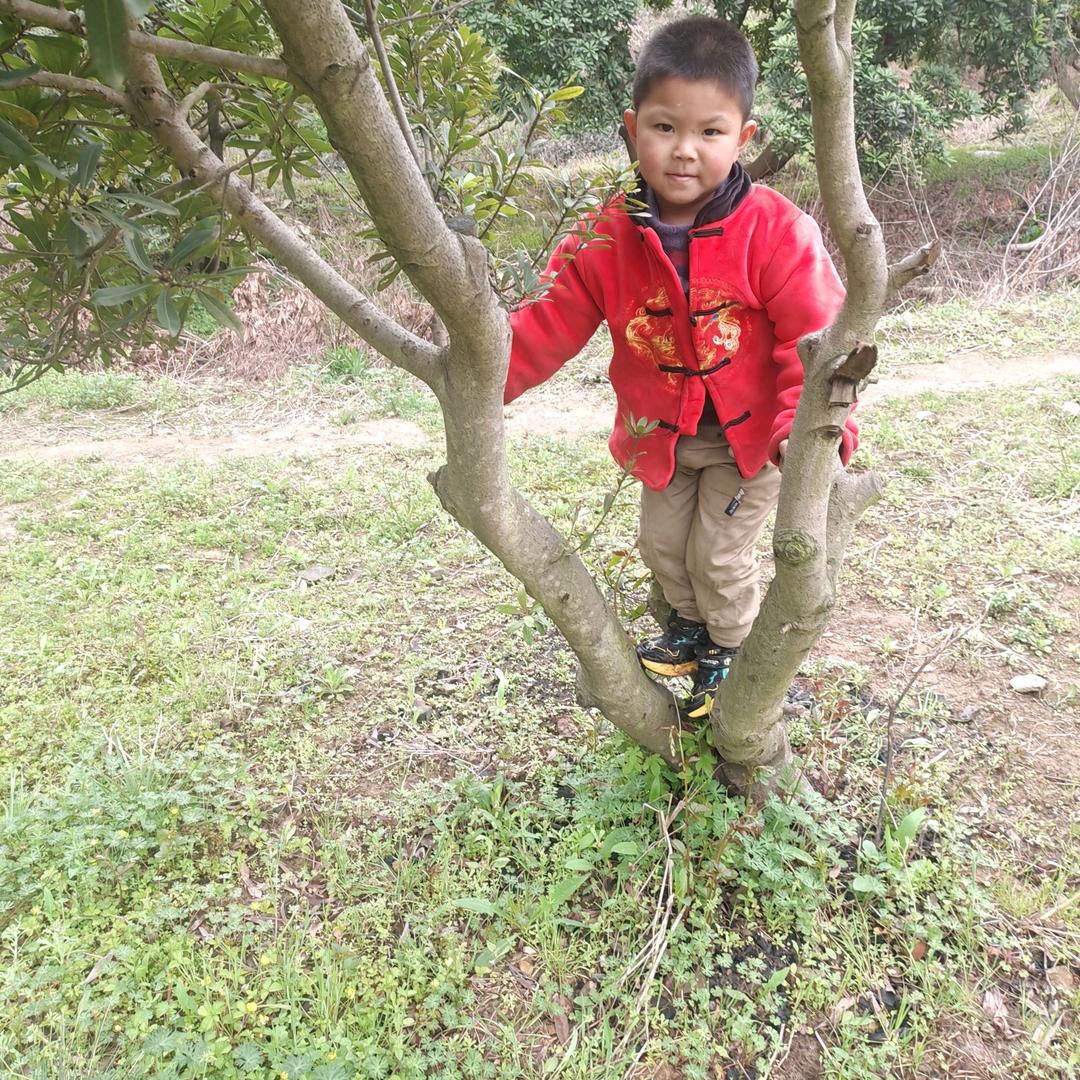 看淡一切心不累