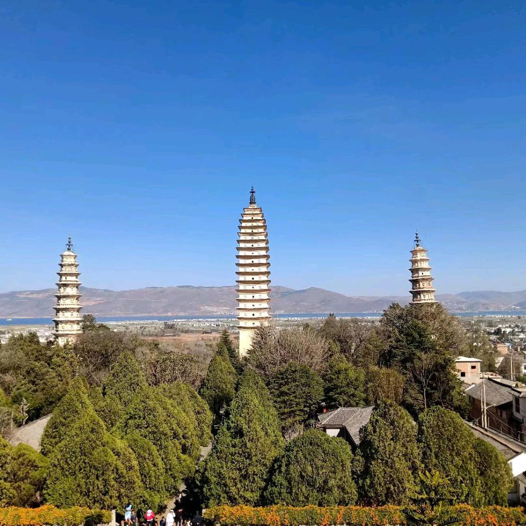 金申格书法