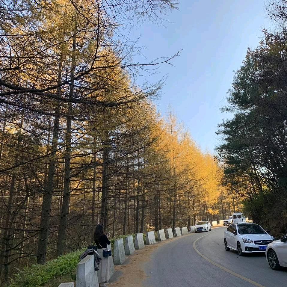 黑户