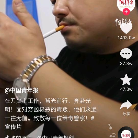 晓羊歌