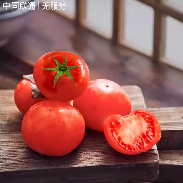 玉兰花