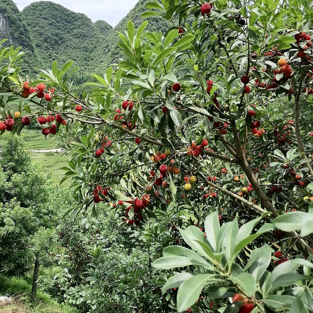 用户4066376876224