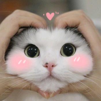 皮卡丘呀😃