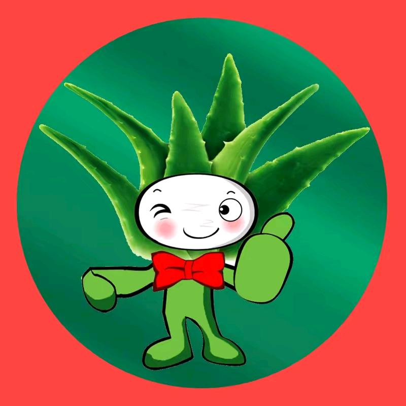索拉莉品牌官方号