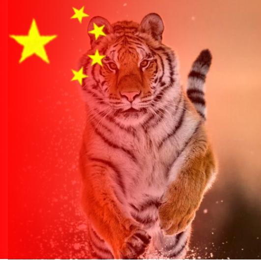 大刘