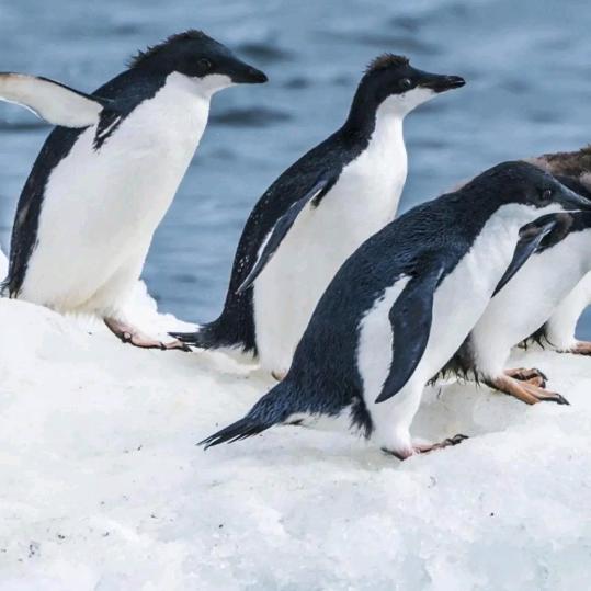 开心就好，，，