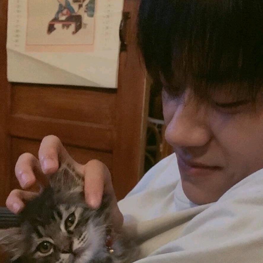 丹丹好物吧（分享版）