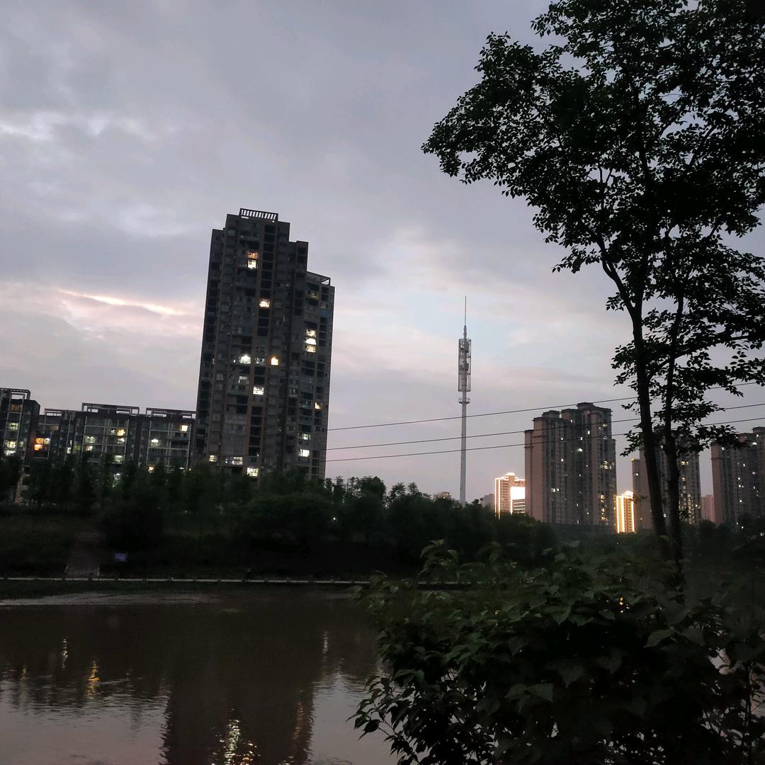巧巧吖（yzz）