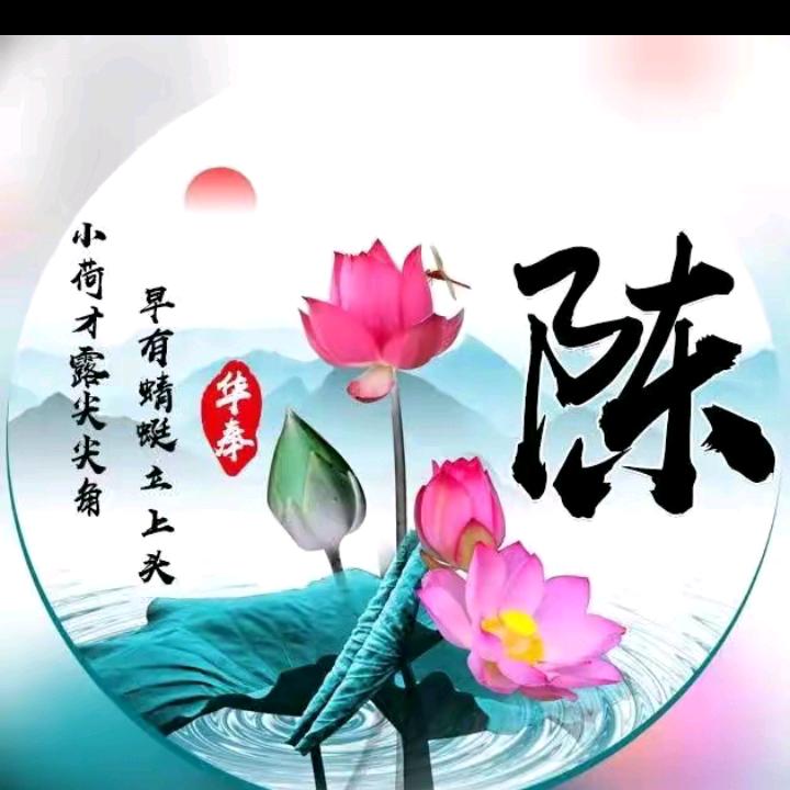 白头并非雪可替，相识已是上上签