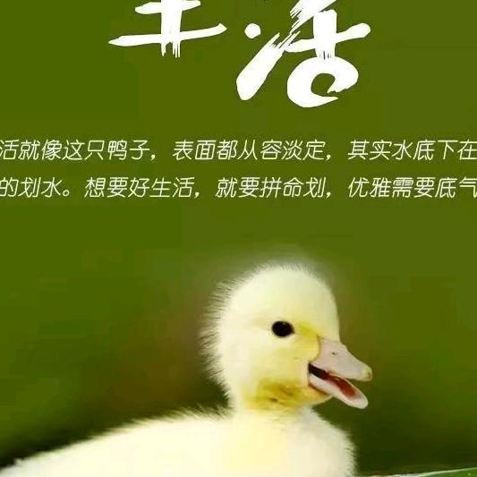 心愿