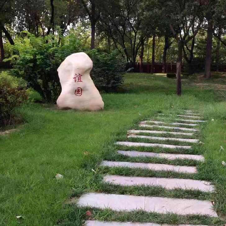 九月菊