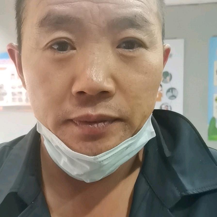 寒梅绽放