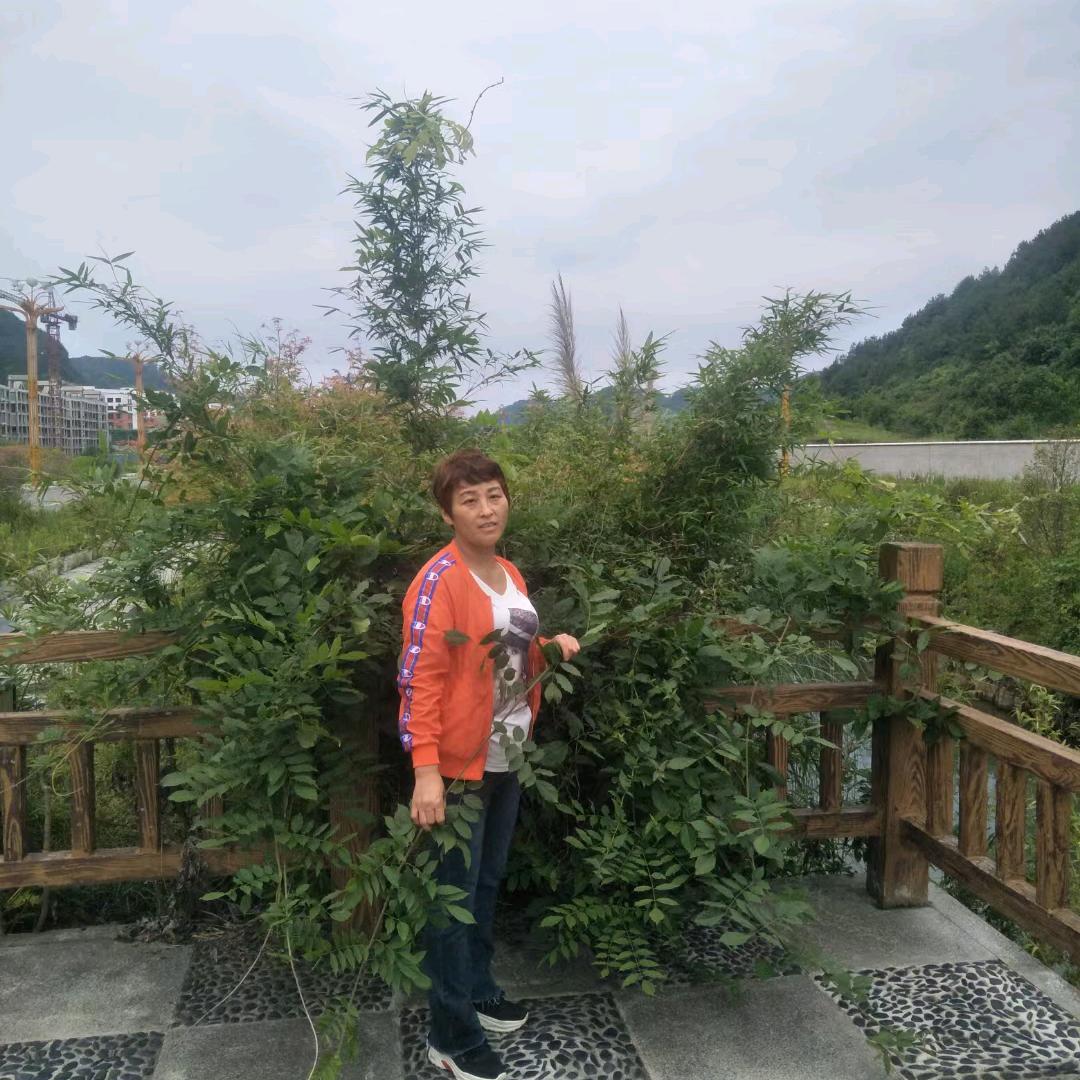 聂涛