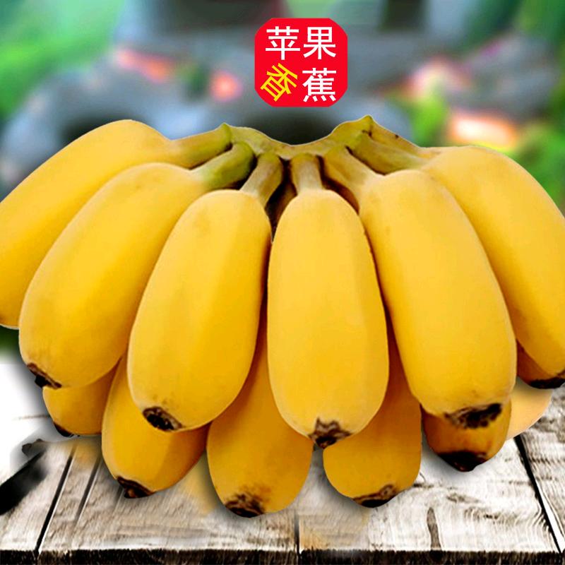 星然优选