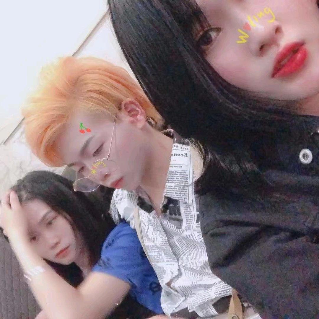 阜南猫狗市场文文精品花鸟鱼宠