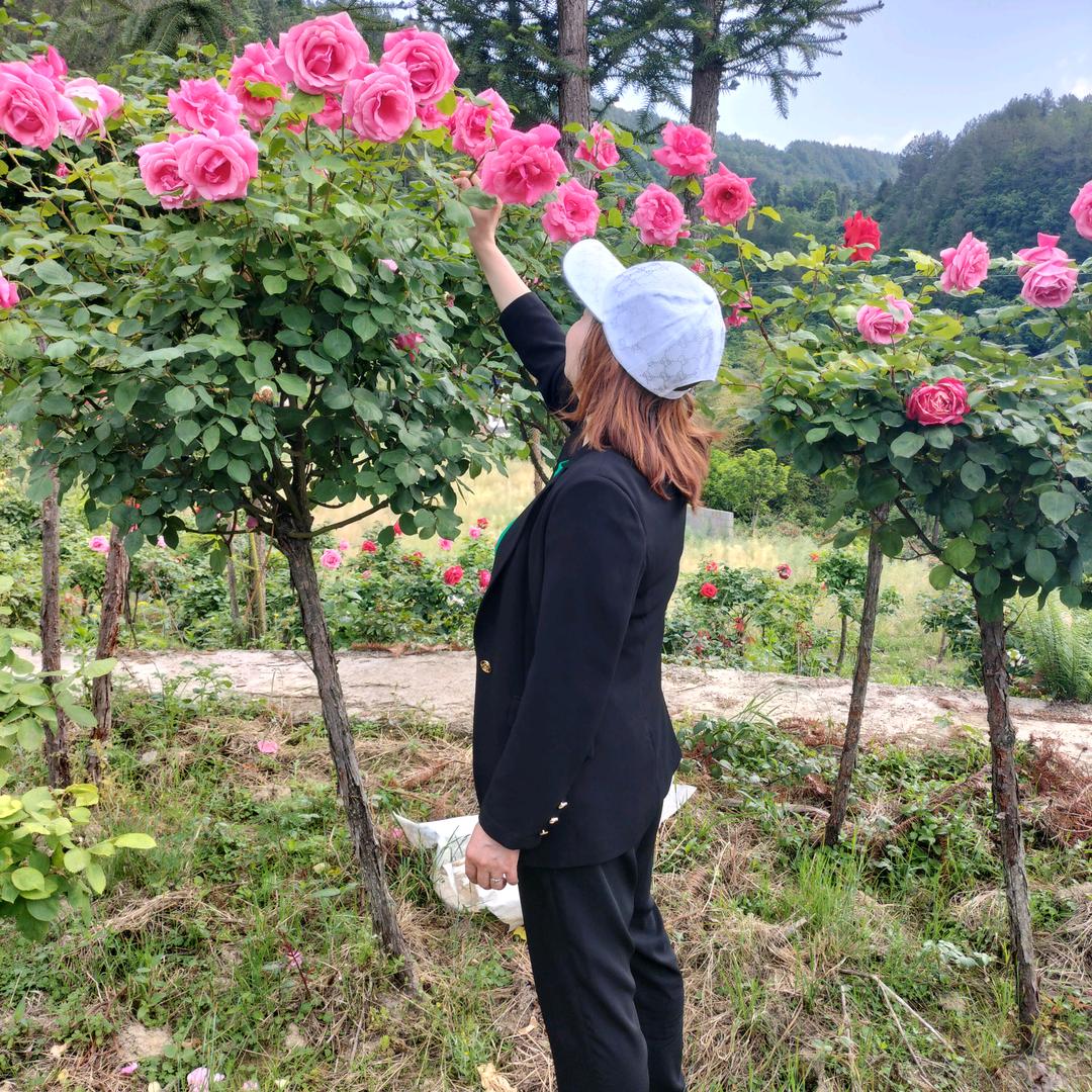美丽人生