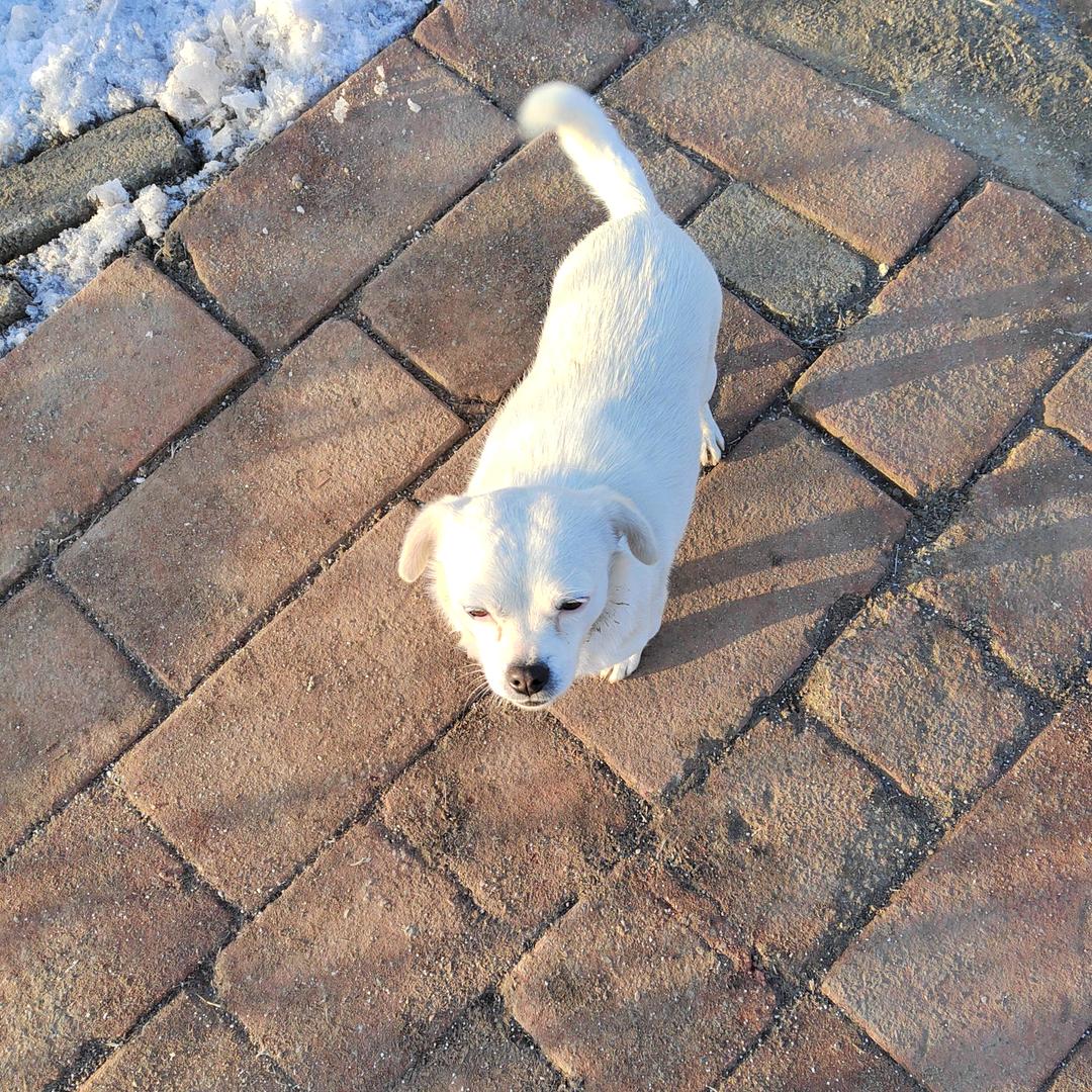 快乐童年_215971618