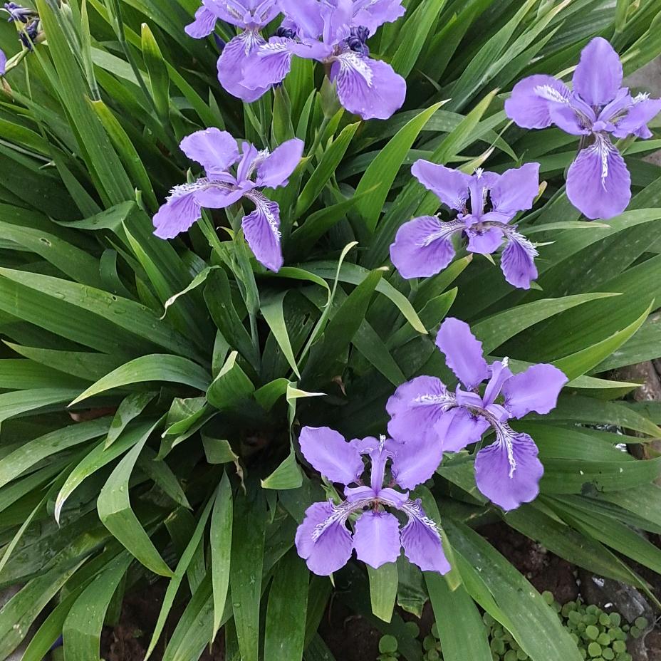 驰诚驾校欢迎您！