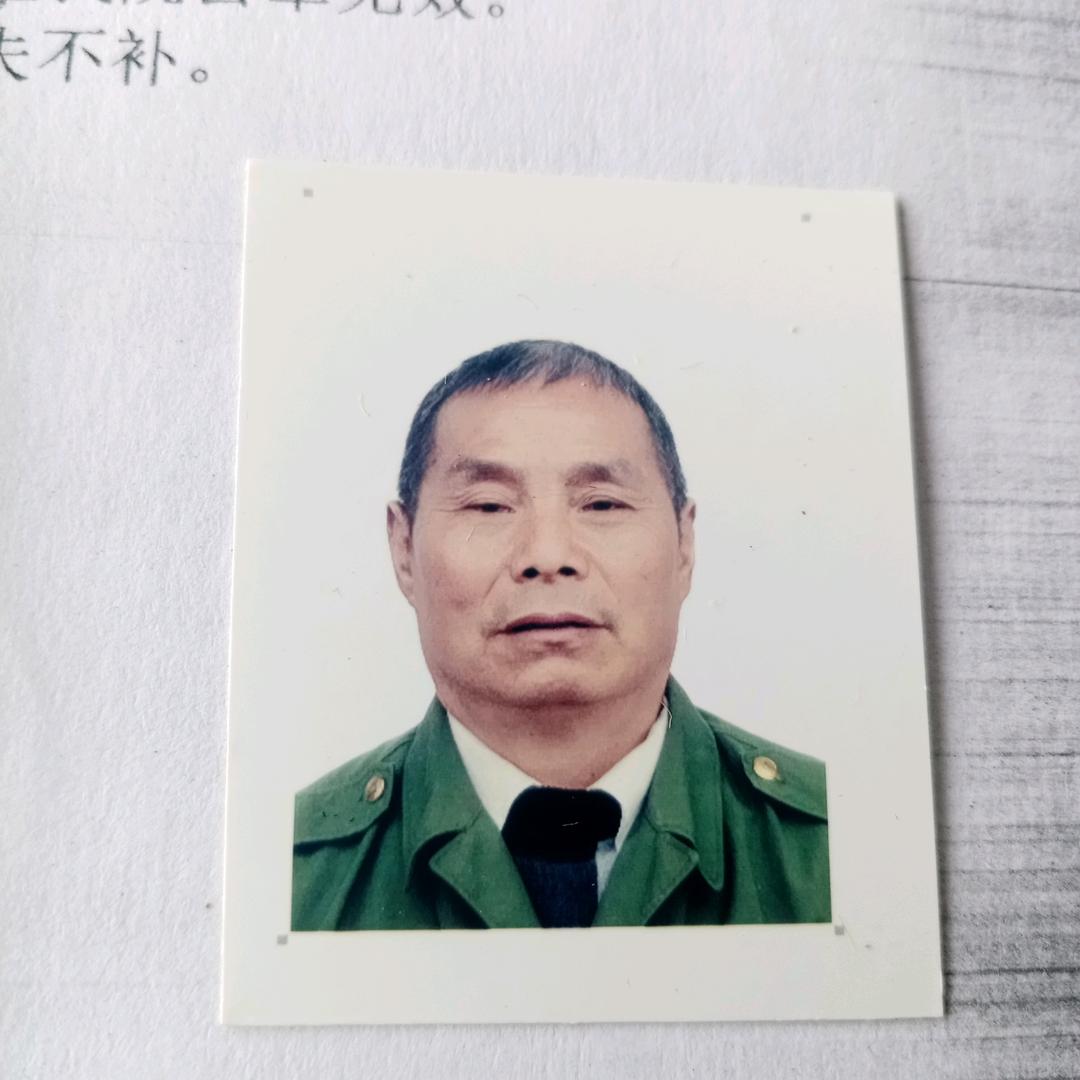 老杨