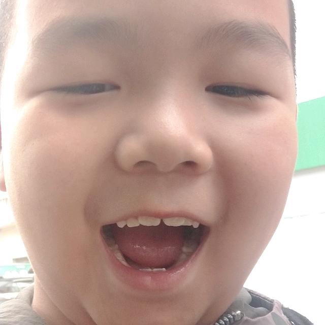 陶陶