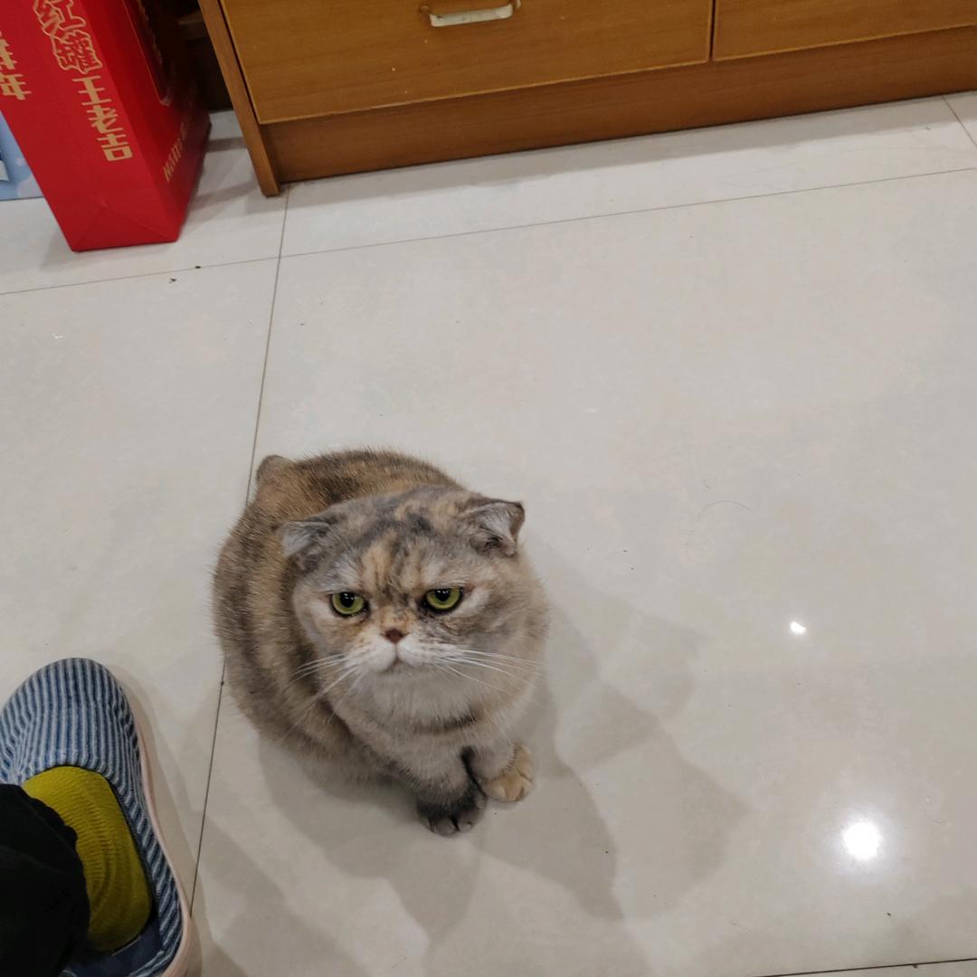 木木