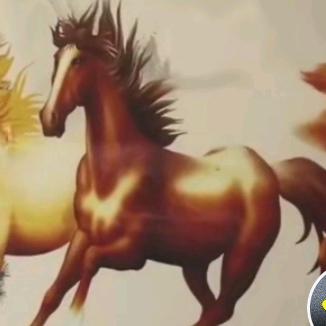 粗茶淡饭过一生