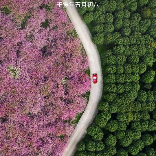 浪漫精灵