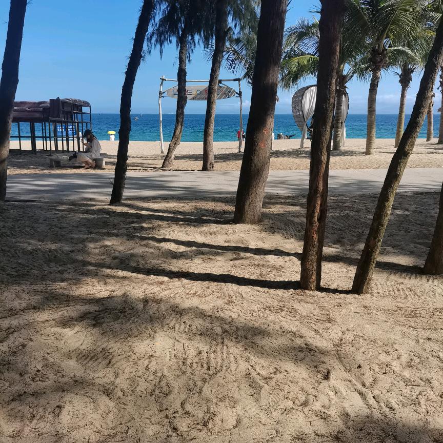 人生中的小插曲