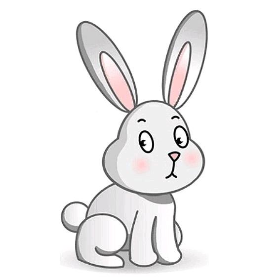 大兔子