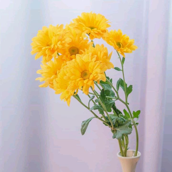欢乐