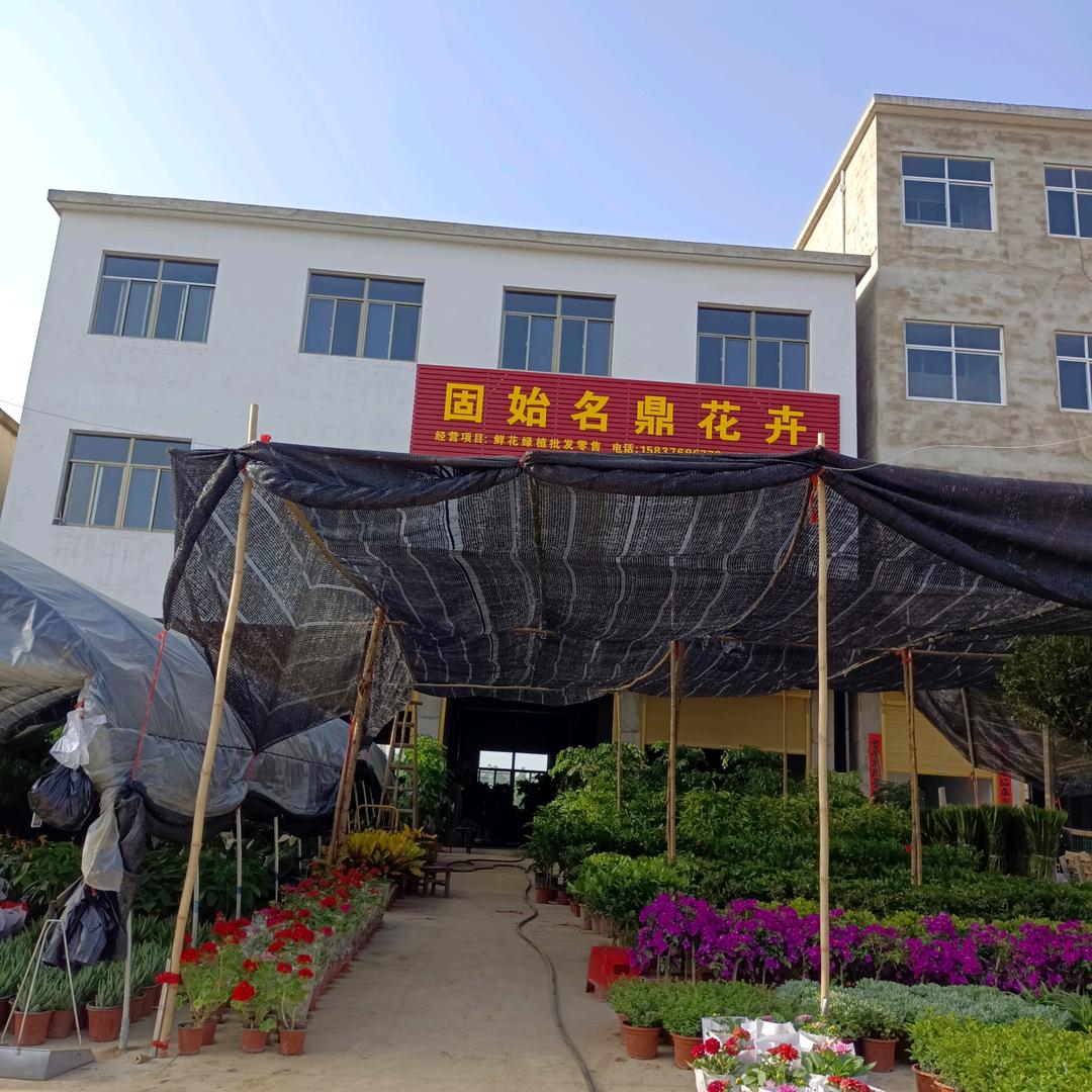 名鼎花卉