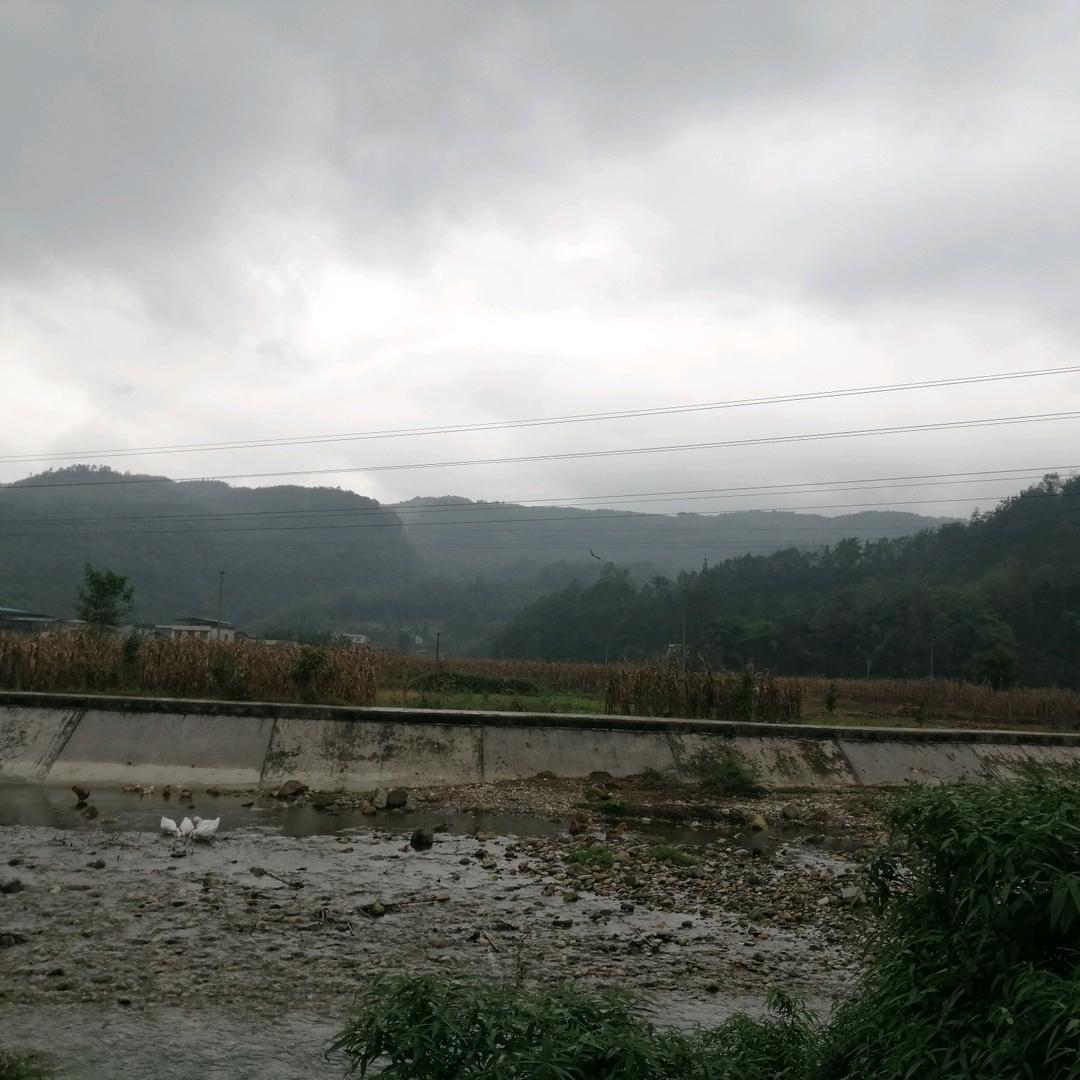 绿叶长青((拒绝连赞))