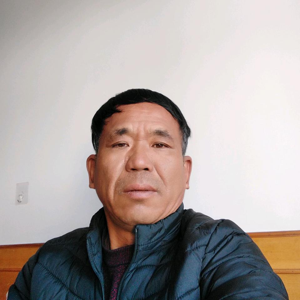 大柳树