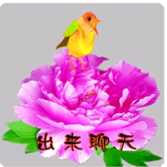 傻太