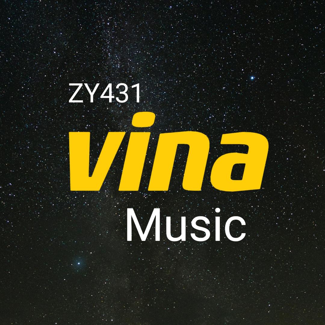 ZY431 Vina Music