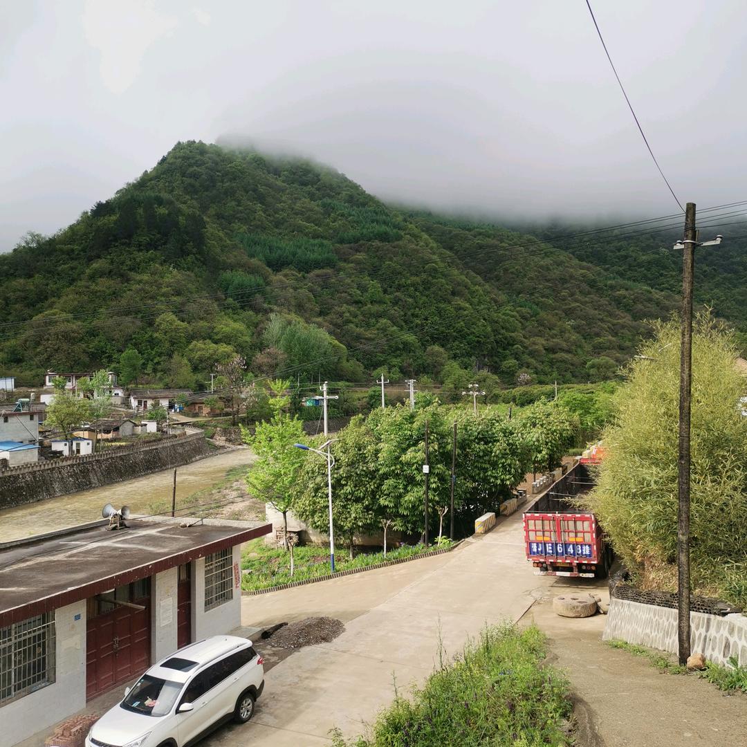 奇