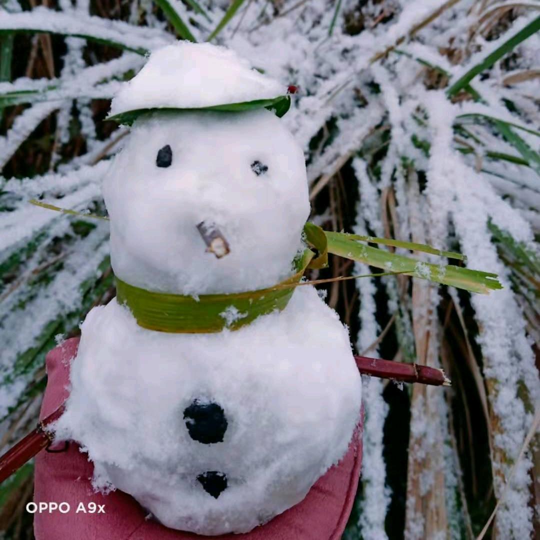 🍀你的幸福，🍀我赔不起🌷