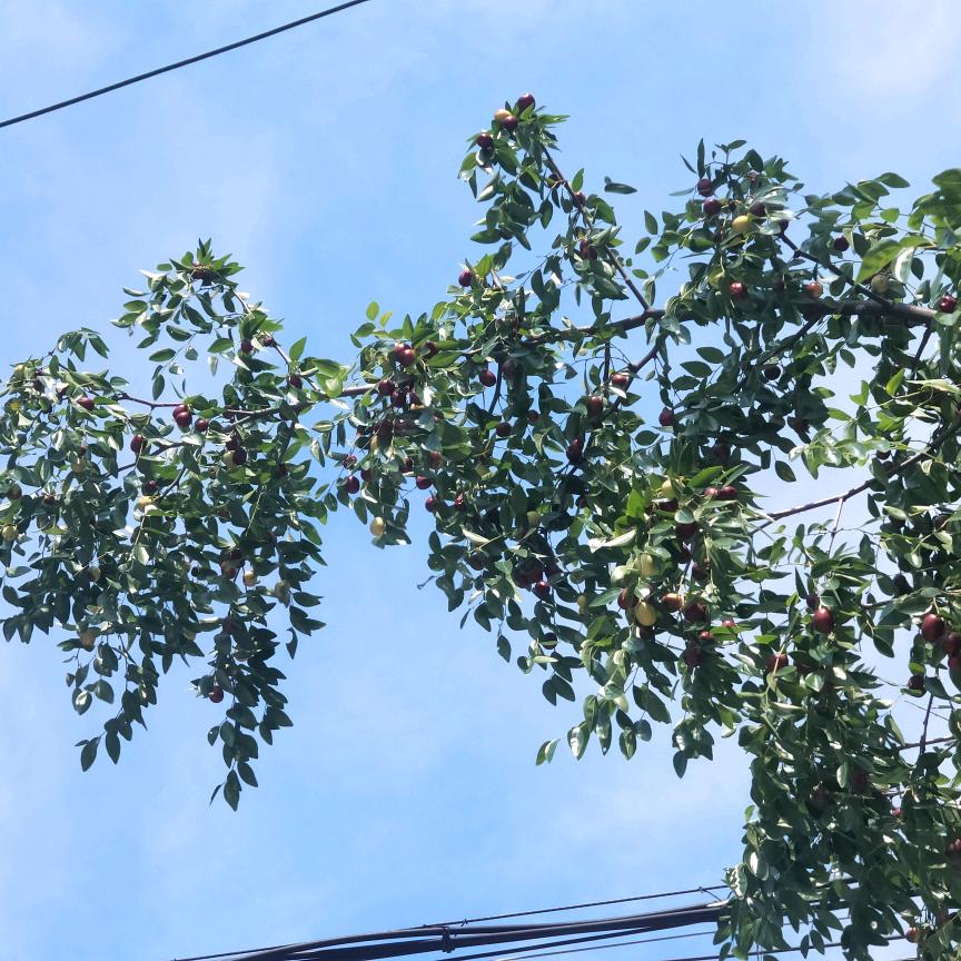 展翅飞翔